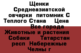 Щенки Среднеазиатской овчарки (питомник С Теплого Стана) › Цена ­ 20 000 - Все города Животные и растения » Собаки   . Татарстан респ.,Набережные Челны г.